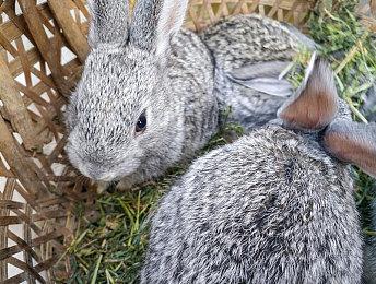 类模拟人生新作《Life by You》新视频展示身体定制